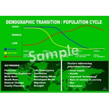 Demographic Transition Poster
