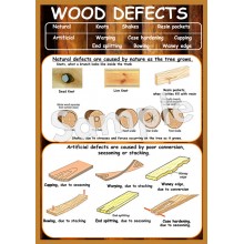 Wood Defects Poster