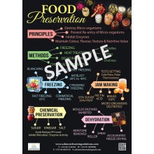 Food Preservation Poster