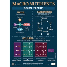 Macro Nutrients Poster