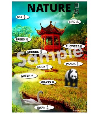 Nature - Chinese Poster