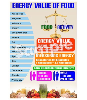 Energy Value of Food Poster
