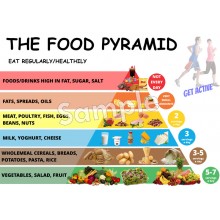 Food Pyramid Poster