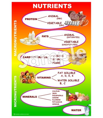 Nutrients Poster