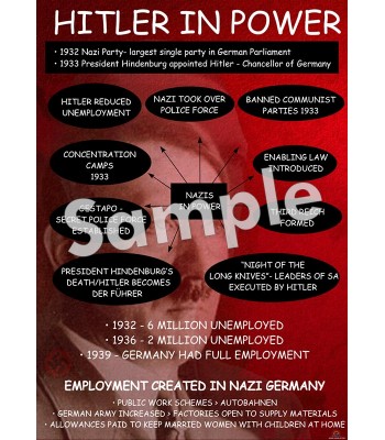 Hitler in Power Poster