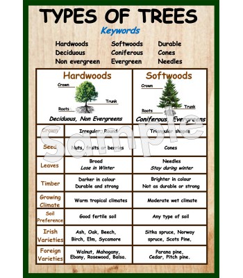 Types of Trees Poster