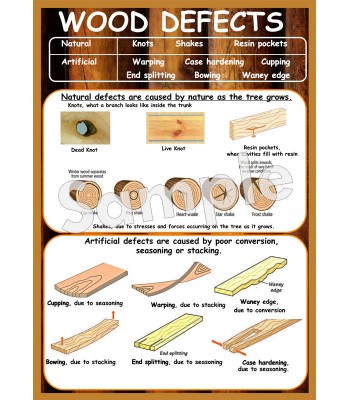 Wood Defects Poster