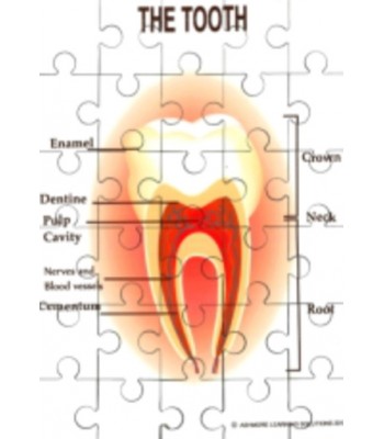 Teeth Jigsaw